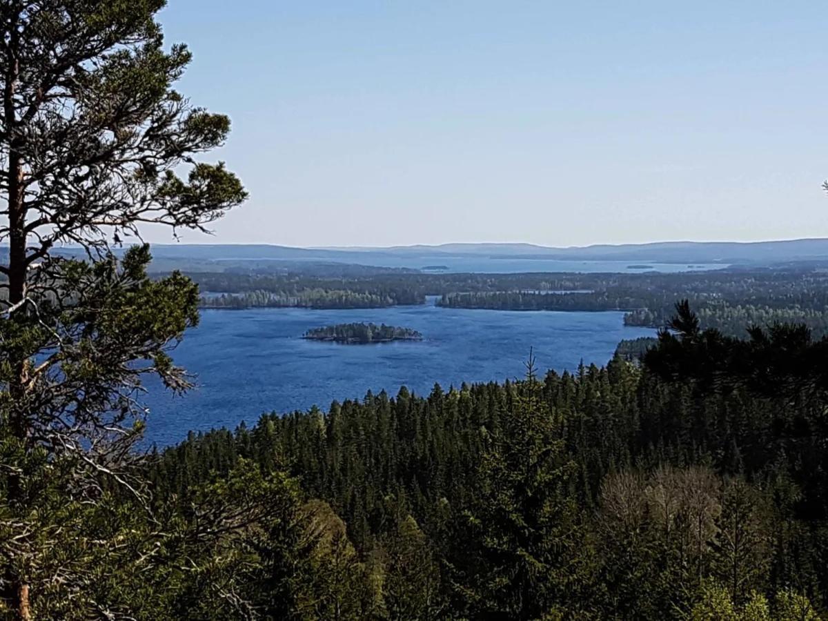 Peaceful And Scandinavian-Style Guesthouse With Scenic Nature And Seaview In High Coast Domsjo Exterior foto